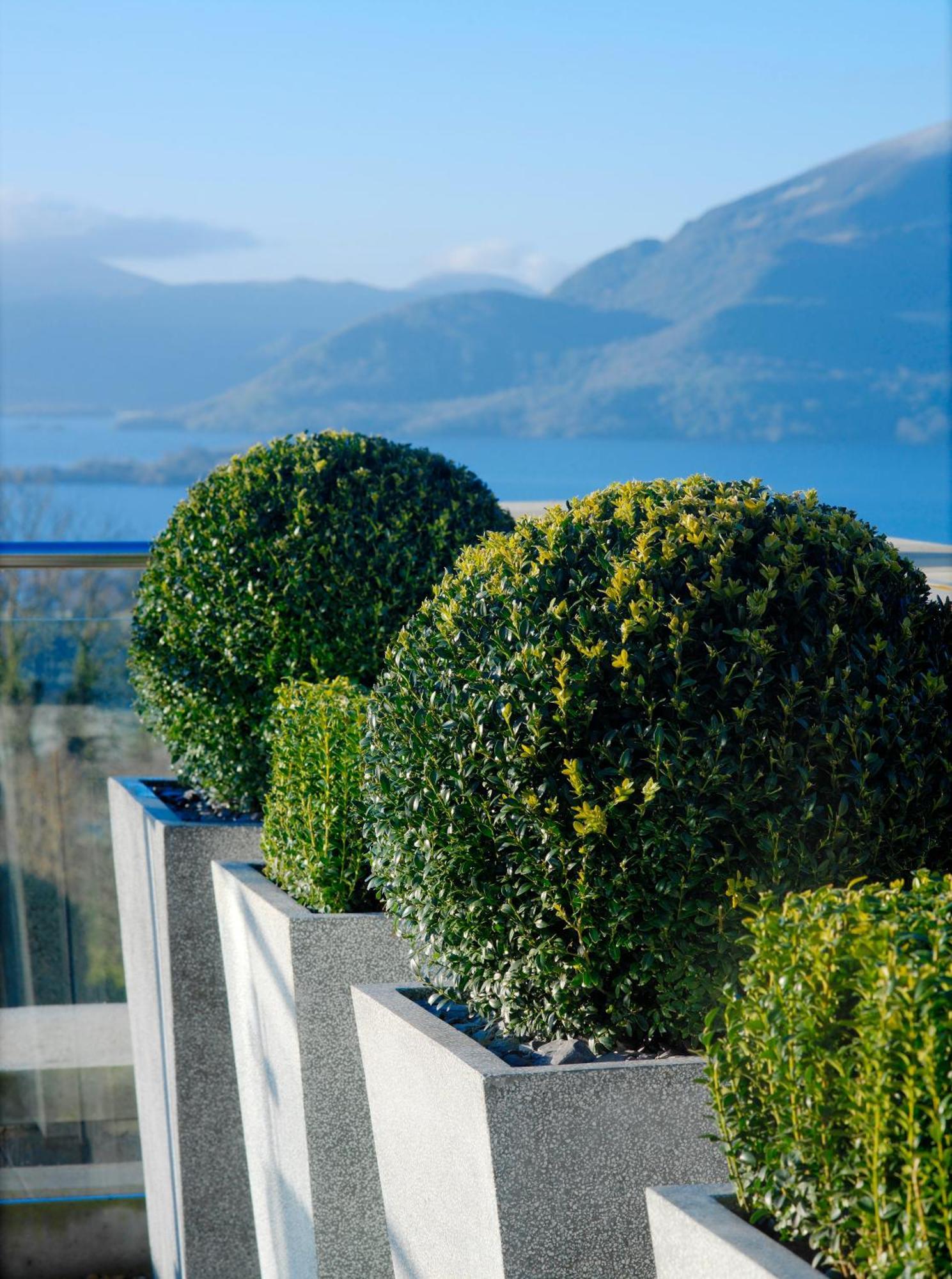 קיל איירן Aghadoe Heights Hotel & Spa מראה חיצוני תמונה Boxwood